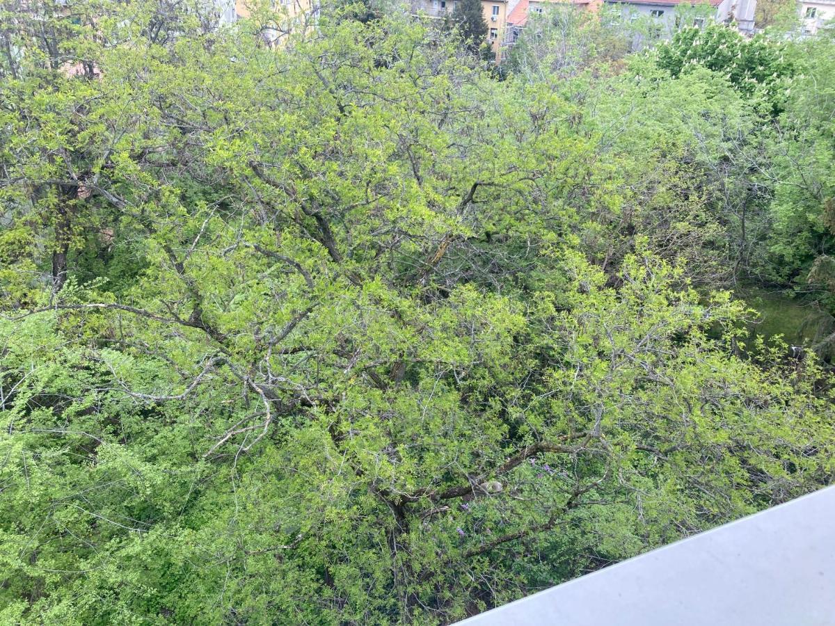 Appartement Roland - Puskas Budapest